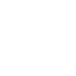 check mark