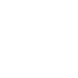 check mark